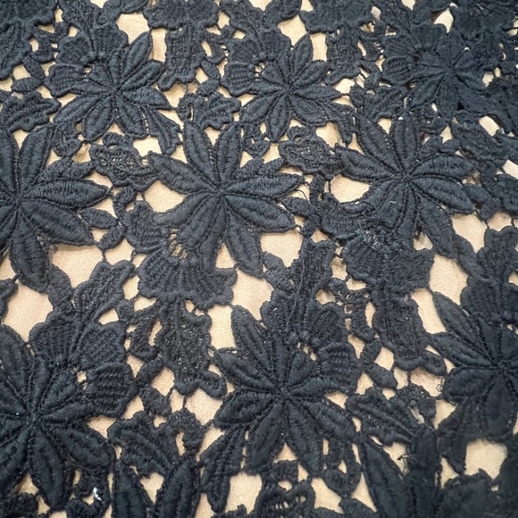 Talbots Women's Petite Lace Overlay Blouse, Black with tan, 8P, Short Sleeve - Picture 3 of 8